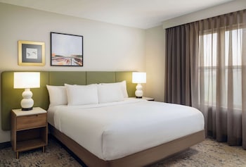 Suite, 1 King Bed, Accessible (Roll in Shower)