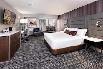 Birch Tower Room, 1 King Bed