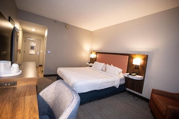 Room, 1 King Bed