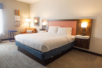 Room, 1 King Bed