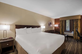 Standard Room, 1 King Bed, Non Smoking, Refrigerator & Microwave (with Sofabed)
