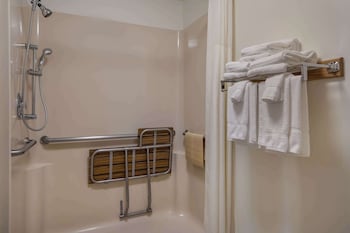 Standard Room, 1 King Bed, Accessible, Refrigerator & Microwave