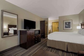 Standard Room, 1 King Bed, Non Smoking, Refrigerator & Microwave