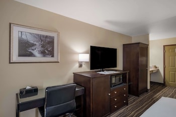 Standard Room, 1 King Bed, Accessible, Refrigerator & Microwave