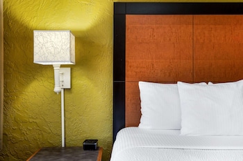 Room, 1 King Bed, Accessible, Non Smoking (Mobility/Hearing/Roll-In Shower)