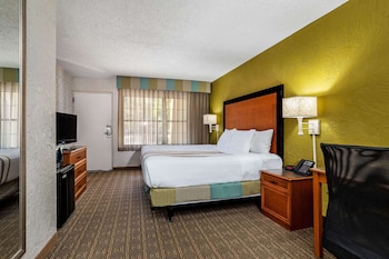 Room, 1 King Bed, Accessible, Non Smoking (Mobility/Hearing/Roll-In Shower)