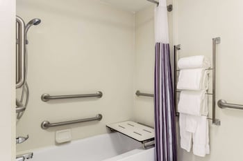 Room, 1 King Bed, Accessible, Non Smoking (Mobility/Hearing/Roll-In Shower)