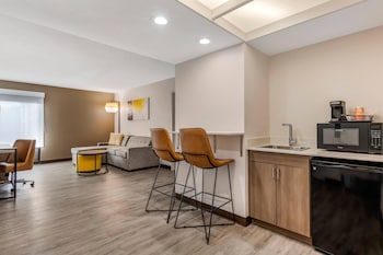 Suite, 1 King Bed with Sofa bed, Non Smoking (Efficiency)