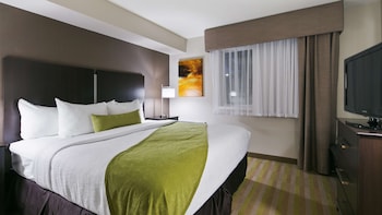 Standard Room, 1 King Bed, Non Smoking, Refrigerator & Microwave