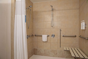 Room, 1 King Bed, Accessible