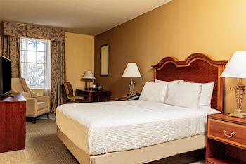 Room, 1 King Bed, Accessible