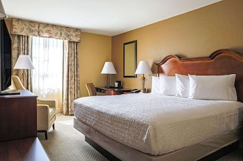Room, 1 King Bed