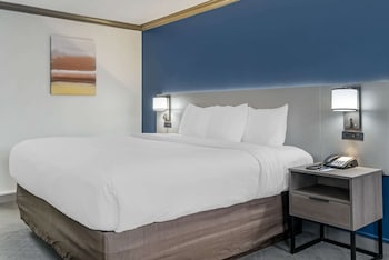 Standard Room, 1 King Bed, Non Smoking