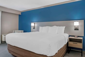 Standard Room, 1 King Bed with Sofa bed, Non Smoking