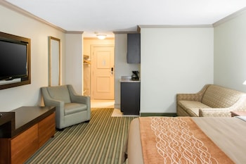 Standard Room, 1 King Bed with Sofa bed, Non Smoking