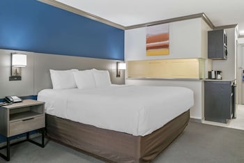 Standard Room, 1 King Bed with Sofa bed, Non Smoking