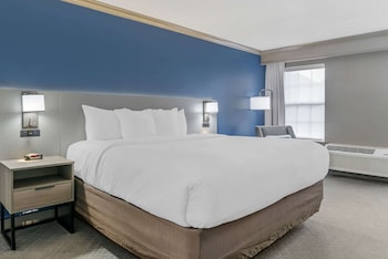 Standard Room, 1 King Bed, Non Smoking