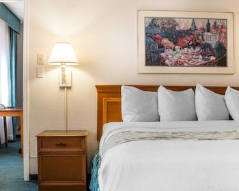 Room, 1 King Bed, Accessible, Non Smoking
