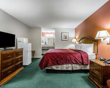 Standard Room, 1 King Bed, Non Smoking