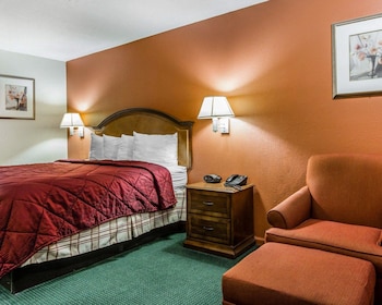 Standard Room, 1 King Bed, Non Smoking