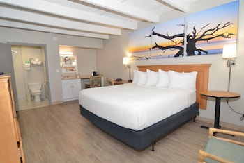 Room, 1 King Bed, Accessible, Non Smoking (1st Floor)
