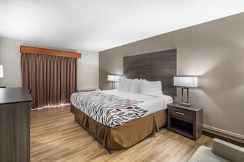 Superior Room, 1 King Bed, Non Smoking