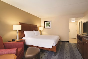 Room, 1 King Bed, Accessible