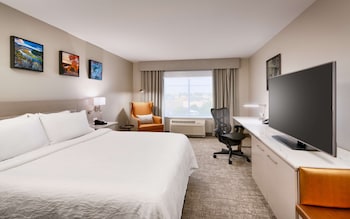 Room, 1 King Bed (Drinks & Snacks)