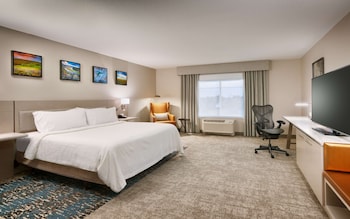 Room, 1 King Bed, Accessible