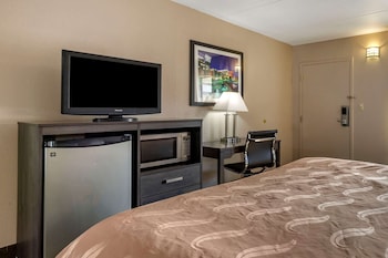 Room, 1 King Bed, Smoking