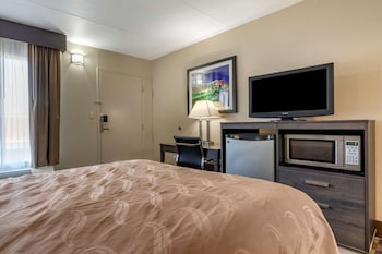 Room, 1 Queen Bed, Smoking