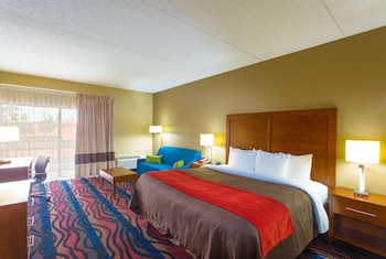 Room, 1 King Bed, Non Smoking