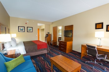 Room, 1 King Bed, Non Smoking