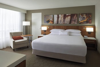 Room, 1 King Bed