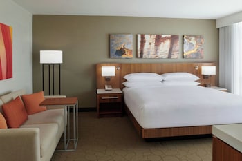 Room, 1 King Bed