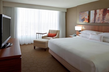 Suite, 1 King Bed with Sofa bed