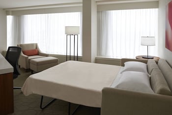 Suite, 1 King Bed with Sofa bed