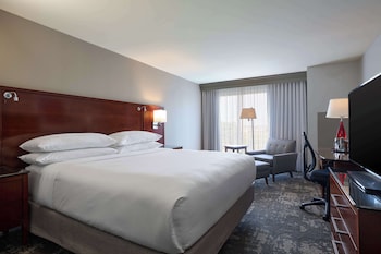 Room, 1 King Bed