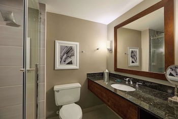 Room, 1 King Bed