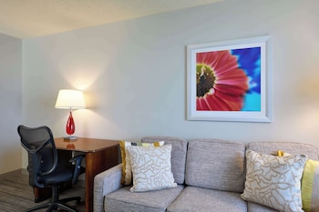 Suite, 1 King Bed