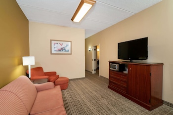 Deluxe Suite, 1 King Bed with Sofa bed, Non Smoking (Suite)