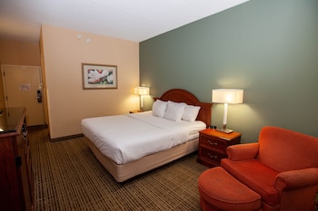 Standard Room, 1 King Bed, Non Smoking