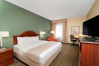 Room, 1 King Bed, Non Smoking (Pet Friendly)