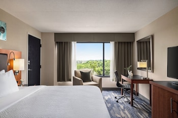 Standard Room, 1 King Bed, Mobility Accessible (Roll-In Shower)