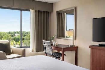 Standard Room, 1 King Bed, Mobility Accessible (Roll-In Shower)