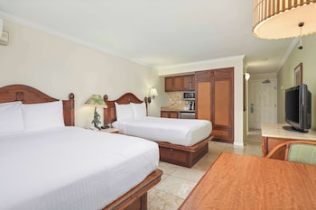 Room, Garden View