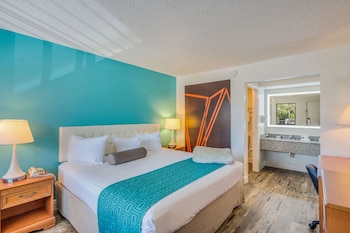 Standard Room, 1 King Bed, Non Smoking