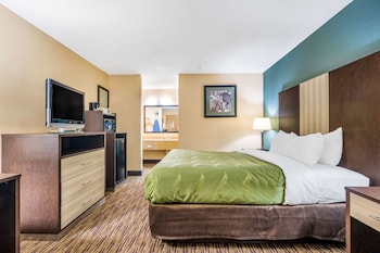 Room, 1 King Bed, Non Smoking