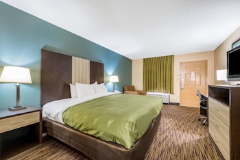 Room, 1 King Bed, Non Smoking