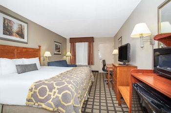 Room, 1 King Bed with Sofa bed